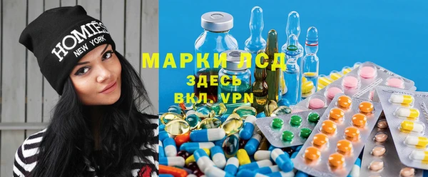 прущие грибы Алексеевка