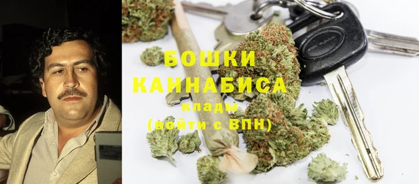 прущие грибы Алексеевка