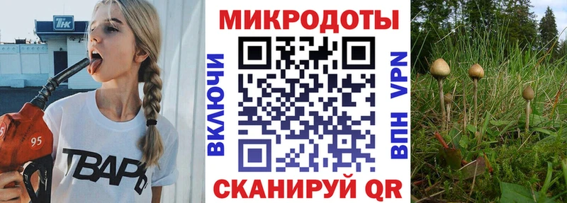 где продают   Харовск  Псилоцибиновые грибы прущие грибы 